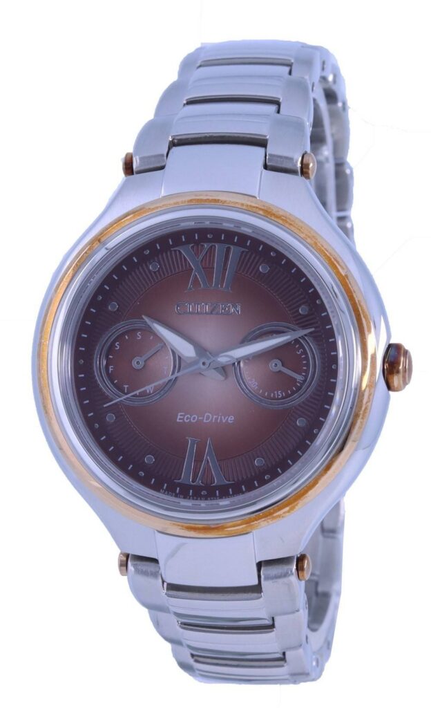 Citizen Brown Dial Stainless Steel Eco-Drive FD4007-51W Women’s Watch
